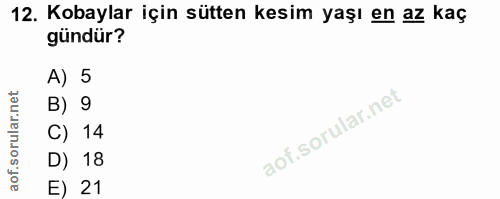 12. soru: Kobaylar için sütten kesim yaşı en az kaç gündür? A) 5 B) 9 C) 14 D) 18 E) 21