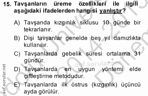15. soru: Tavşanların üreme özellikleri ile ilgili aşağıdaki ifadelerden hangisi yanlıştır? A) Tavşanda kızgınlık siklusu 10 gü…