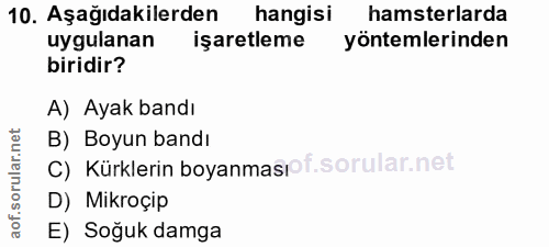 10. soru: Aşağıdakilerden hangisi hamsterlarda uygulanan işaretleme yöntemlerinden biridir? A) Ayak bandı B) Boyun bandı C) Kür…
