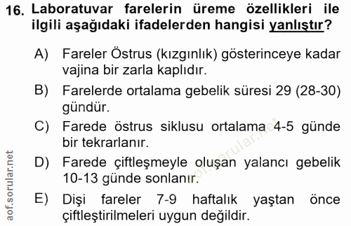 16. soru: Laboratuvar farelerin üreme özellikleri ile ilgili aşağıdaki ifadelerden hangisi yanlıştır? A) Fareler Östrus (kızgın…