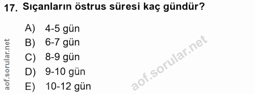 17. soru: Sıçanların östrus süresi kaç gündür? A) 4-5 gün B) 6-7 gün 8-9 gün D) 9-10 gún E) 10-12 gün