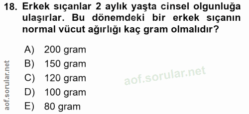 18. soru: Erkek sıçanlar 2 aylık yaşta cinsel olgunluğa ulaşırlar. Bu dönemdeki bir erkek sıçanın normal vücut ağırlığı kaç gra…