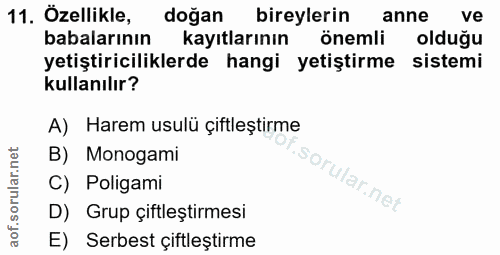 11. soru: Özellikle, doğan bireylerin anne ve babalarının kayıtlarının önemli olduğu yetiştiriciliklerde hangi yetiştirme siste…