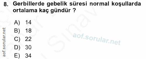 8. soru: Gerillerde gebelik süresi normal koşullarda ortalama kaç gündür ? A) 14 B) 18 C) 22 D) 30 E) 34