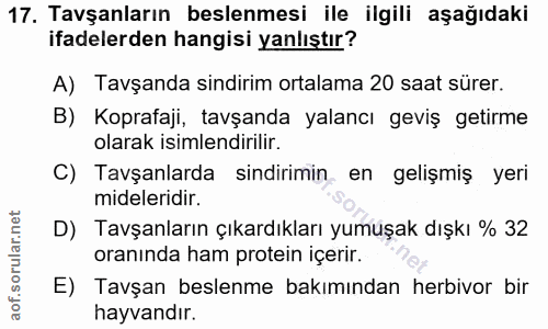 17. soru: Tavşanların beslenmesi ile ilgili aşağıdaki ifadelerden hangisi yanlıştır? A) Tavşanda sindirim ortalama 20 saat süre…