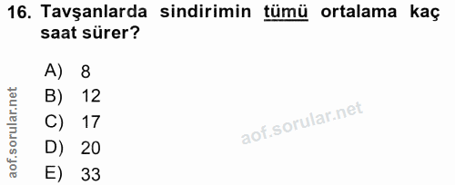 16. soru: Tavşanlarda sindirimin tümü ortalama kaç saat sürer? A) 8 B) 12 C) 17 D) 20 E) 33