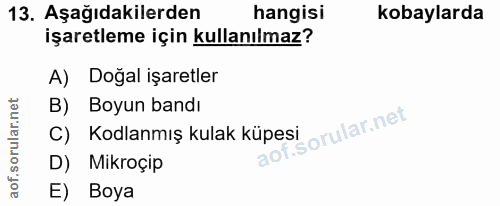 13. soru: Aşağıdakilerden hangisi kobaylarda işaretleme için kullanılmaz? A) Doğal işaretler B) Boyun bandı lof. C) Kodlanmış k…