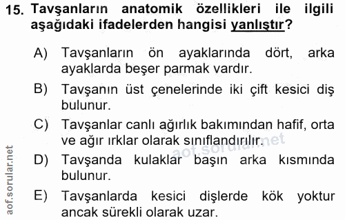 15. soru: Tavşanların anatomik özellikleri ile ilgili aşağıdaki ifadelerden hangisi yanlıştır? A) Tavşanların ön ayaklarında dö…