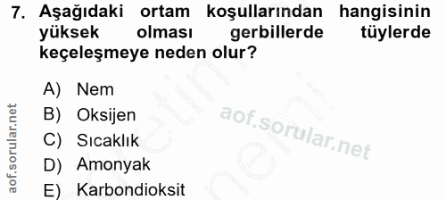 7. soru: Aşağıdaki ortam koşullarından hangisinin yüksek olması gerillerde tüylerde keçeleşmeye neden olur? A) Nem B) Oksijen…