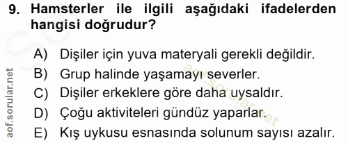 9. soru: Hamsterler ile ilgili aşağıdaki ifadelerden hangisi doğrudur? A) Dişiler için yuva materyali gerekli değildir. B) Gru…