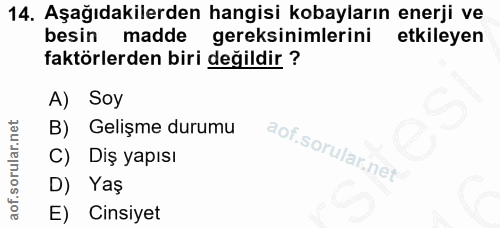 14. soru: Aşağıdakilerden hangisi kobayların enerji ve besin madde gereksinimlerini etkileyen faktörlerden biri değildir ? A) S…
