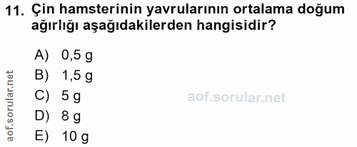 11. soru: Çin hamsterinin yavrularının ortalama doğum ağırlığı aşağıdakilerden hangisidir? A) 0,5 g B) 1,5 g C) 5 g D) 8 g aof.…