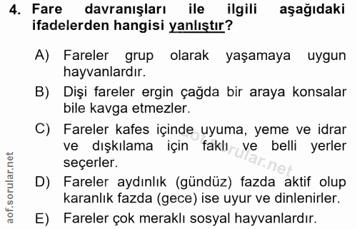4. soru: Fare davranışları ile ilgili aşağıdaki ifadelerden hangisi yanlıştır? A) Fareler grup olarak yaşamaya uygun hayvanlar…