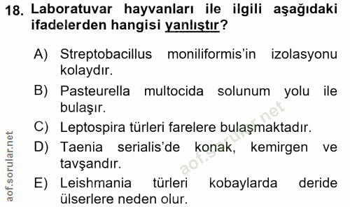 18. soru: Laboratuvar hayvanları ile ilgili aşağıdaki ifadelerden hangisi yanlıştır? A) Streptobacillus moniliformis'in izolasy…