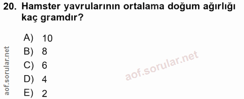 20. soru: Hamster yavrularının ortalama doğum ağırlığı kaç gramdır? A) 10 B) 8 C) 6 D) 4 E) 2