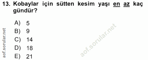 13. soru: Kobaylar için sütten kesim yaşı en az kaç gündür? A) 5 B) 9 C) 14 D) 18 E) 21