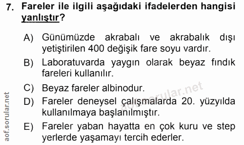 7. soru: Fareler ile ilgili aşağıdaki ifadelerden hangisi yanlıştır? A) Günümüzde akrabalı ve akrabalık dışı yetiştirilen 400…