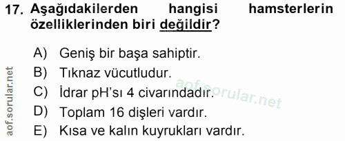 17. soru: Aşağıdakilerden hangisi hamsterlerin özelliklerinden biri değildir? A) Geniş bir başa sahiptir. B) Tıknaz vücutludur.…