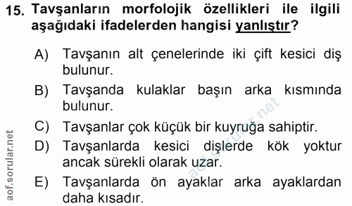 15. soru: Tavşanların morfolojik özellikleri ile ilgili aşağıdaki ifadelerden hangisi yanlıştır? A) Tavşanın alt çenelerinde ik…