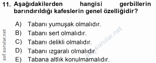 11. soru: Aşağıdakilerden hangisi erbillerin barındırıldığı kafeslerin genel özelliğidir? A) Tabanı yumuşak olmalıdır. B) Taban…