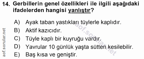14. soru: Gerillerin genel özellikleri ile ilgili aşağıdaki ifadelerden hangisi yanlıştır? A) Ayak taban yastıkları tüylerle ka…