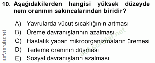 10. soru: Aşağıdakilerden hangisi yüksek düzeyde nem oranının sakıncalarından biridir? A) Yavrularda vücut sıcaklığının artması…