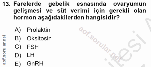 13. soru: Farelerde gebelik esnasında ovaryumun gelişmesi ve süt verimi için gerekli olan hormon aşağıdakilerden hangisidir? A)…
