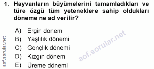 1. soru: Hayvanların büyümelerini tamamladıkları ve türe özgü tüm yeteneklere sahip oldukları döneme ne ad verilir? A) Ergin d…