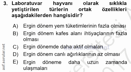 3. soru: Laboratuvar hayvanı olarak sıklıkla yetiştirilen türlerin ortak özellikleri aşağıdakilerden hangisidir? A) Ergin döne…