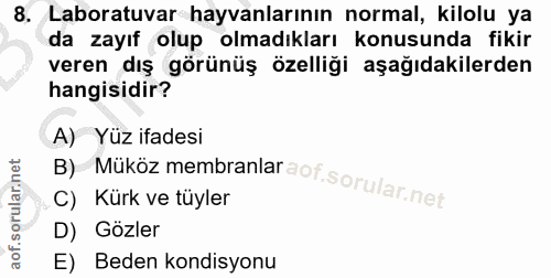 8. soru: Laboratuvar hayvanlarının normal, kilolu ya da zayıf olup olmadıkları konusunda fikir veren dış görünüş özelliği aşağ…