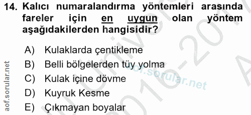 14. soru: Kalıcı numaralandırma yöntemleri arasında fareler içinen uygun olan yöntem aşağıdakilerden hangisidir? A) Kulaklarda…