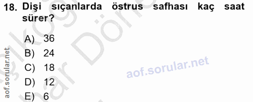 18. soru: Dişi sıçanlarda östrus safhası kaç saat sürer? A) 36 B) 24 C) 18 D) 12 E) 6