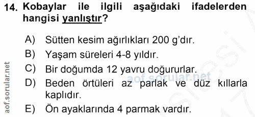 14. soru: Kobaylar ile ilgili aşağıdaki ifadelerden hangisi yanlıştır? A) Sütten kesim ağırlıkları 200 g'dır. B) Yaşam süreleri…