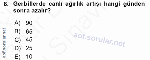 8. soru: Gerillerde canlı ağırlık artışı hangi günden sonra azalır? A) 90 B) 65 C) 45 D) 25 E) 10