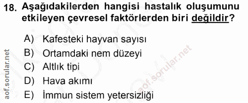 18. soru: Aşağıdakilerden hangisi hastalık oluşumunu etkileyen çevresel faktörlerden biri değildir? A) Kafesteki hayvan sayısı…