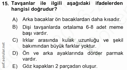 15. soru: Tavşanlar ile ilgili aşağıdaki ifadelerden hangisi doğrudur? A) Arka bacaklar ön bacaklardan daha kısadır. B) Dişi ta…
