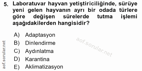 5. soru: Laboratuvar hayvan yetiştiriciliğinde, sürüye yeni gelen hayvanın ayrı bir odada türlere göre değişen sürelerde tutma…