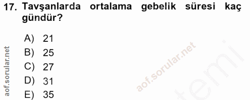 17. soru: Tavşanlarda ortalama gebelik süresi kaç gündür? A) 21 B) 25 C) 27 D) 31 E) 35