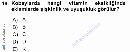 19. soru: Kobaylarda hangi vitamin eksikliğinde eklemlerde şişkinlik ve uyuşukluk görülür? A) A B) B C) C D) D E) K