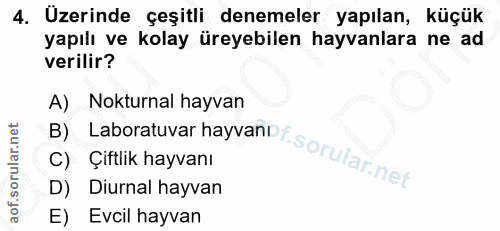 4. soru: Üzerinde çeşitli denemeler yapılan, küçük yapılı ve kolay üreyebilen hayvanlara ne ad verilir? A) Nokturnal hayvan B)…