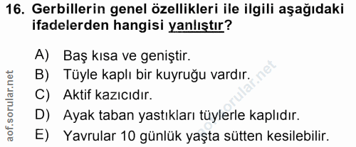 16. soru: Gerillerin genel özellikleri ile ilgili aşağıdaki ifadelerden hangisi yanlıştır? A) Baş kısa ve geniştir. B) Tüyle ka…