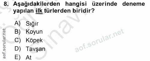 8. soru: Aşağıdakilerden hangisi üzerinde deneme yapılan ilk türlerden biridir? A) Sığır B) Koyun C) Köpek D) Tavşan E) At