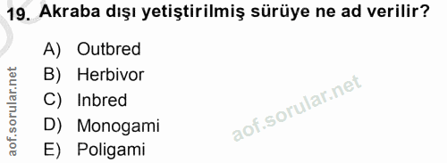 19. soru: Akraba dışı yetiştirilmiş sürüye ne ad verilir? A) Outbred B) Herbivor C) Inbred D) Monogami E) Poligami
