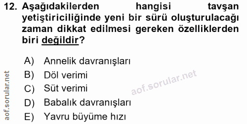 12. soru: Aşağıdakilerden hangisi tavşan yetiştiriciliğinde yeni bir sürü oluşturulacağı zaman dikkat edilmesi gereken özellikl…