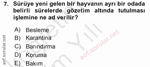 7. soru: Sürüye yeni gelen bir hayvanın ayrı bir odada belirli sürelerde gözetim altında tutulması işlemine ne ad verilir? A)…