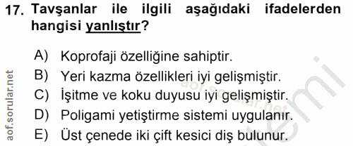 17. soru: Tavşanlar ile ilgili aşağıdaki ifadelerden hangisi yanlıştır? A) Koprofaji özelliğine sahiptir. B) Yeri kazma özellik…