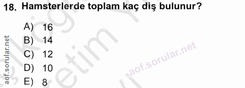 18. soru: Hamsterlerde toplam kaç diş bulunur? A) 16 B) 14 C) 12 D) 10 E) 8