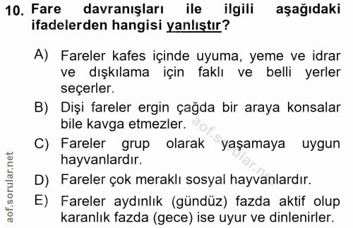 10. soru: Fare davranışları ile ilgili aşağıdaki ifadelerden hangisi yanlıştır? A) Fareler kafes içinde uyuma, yeme ve idrar ve…