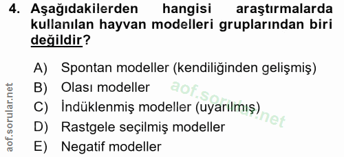 4. soru: Aşağıdakilerden hangisi araştırmalarda kullanılan hayvan modelleri gruplarından biri değildir? A) Spontan modeller (k…