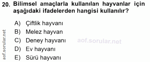 20. soru: Bilimsel amaçlarla kullanılan hayvanlar için aşağıdaki ifadelerden hangisi kullanılır? A) Çiftlik hayvanı corillar ne…